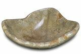 Polished Fossil Coral (Actinocyathus) Dish - Morocco #294089-1